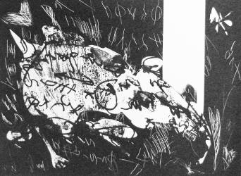Serie "Animales marcados"